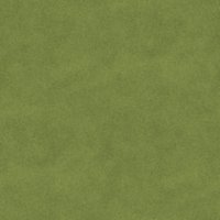 Asset preview